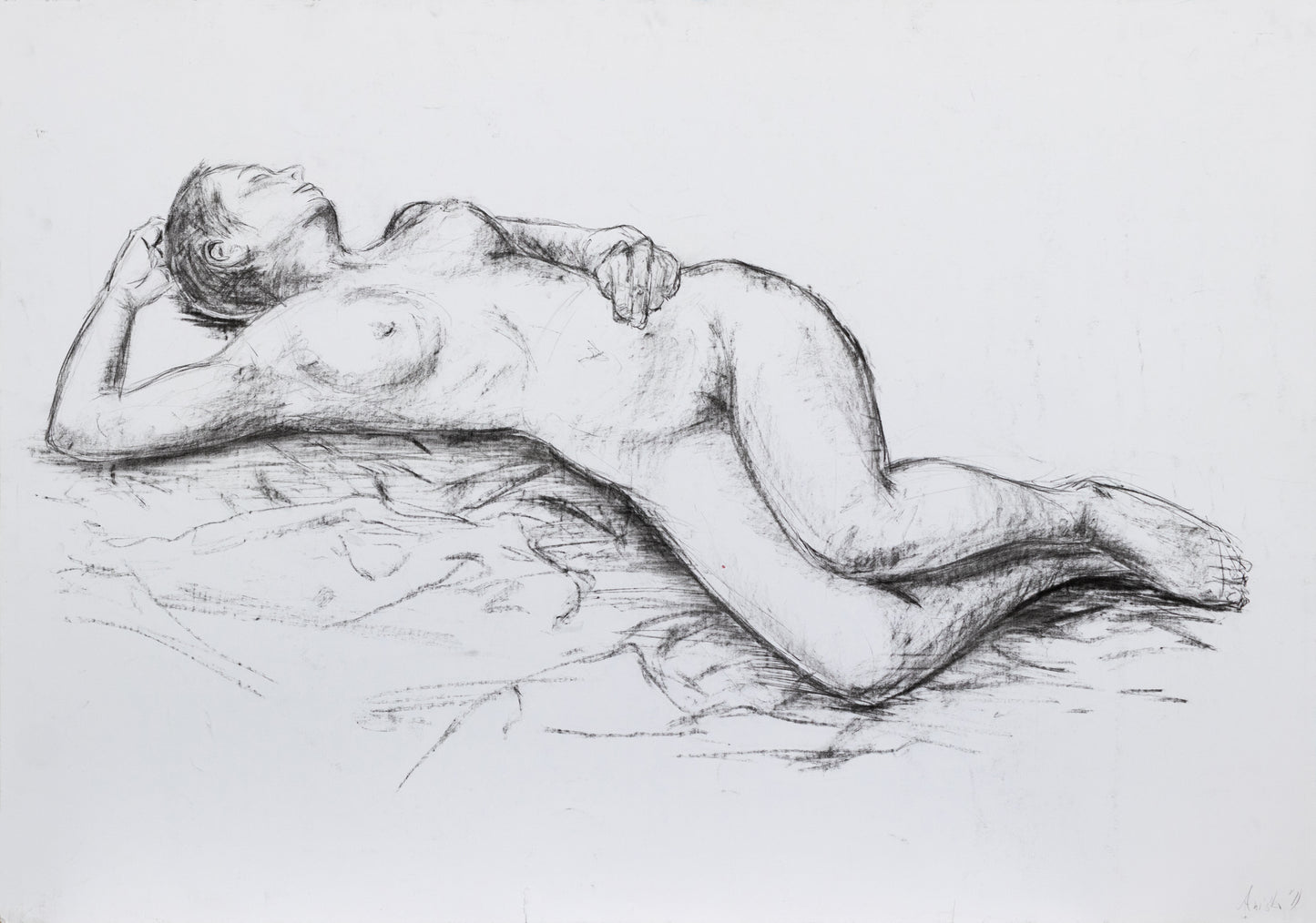 Human Study 11, 2009