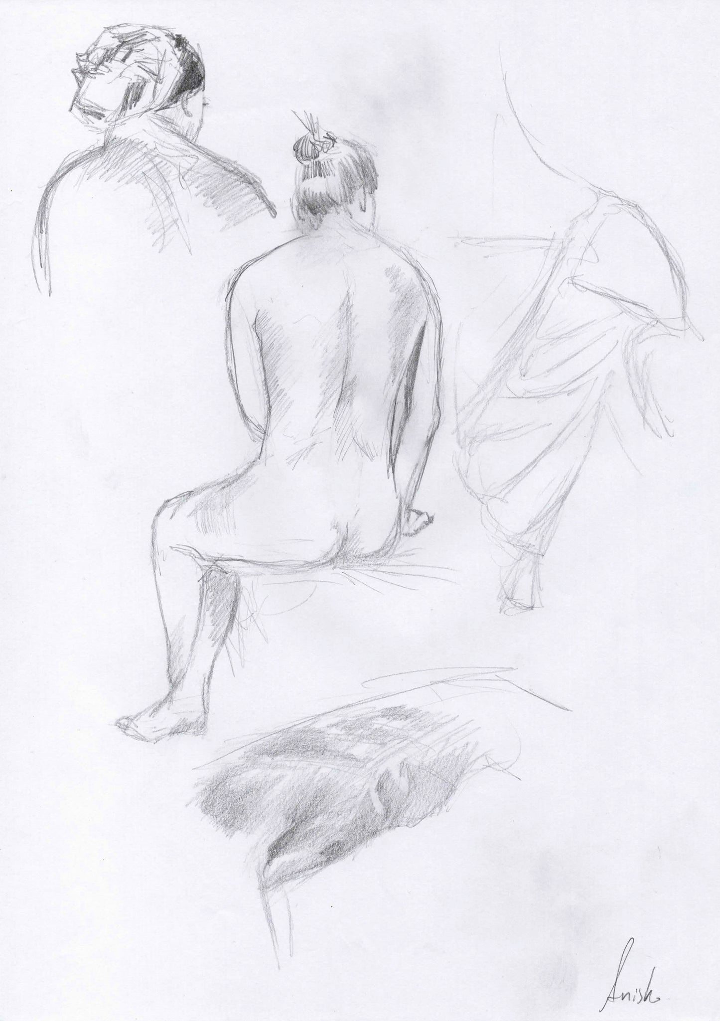 Model Study 3, 2010