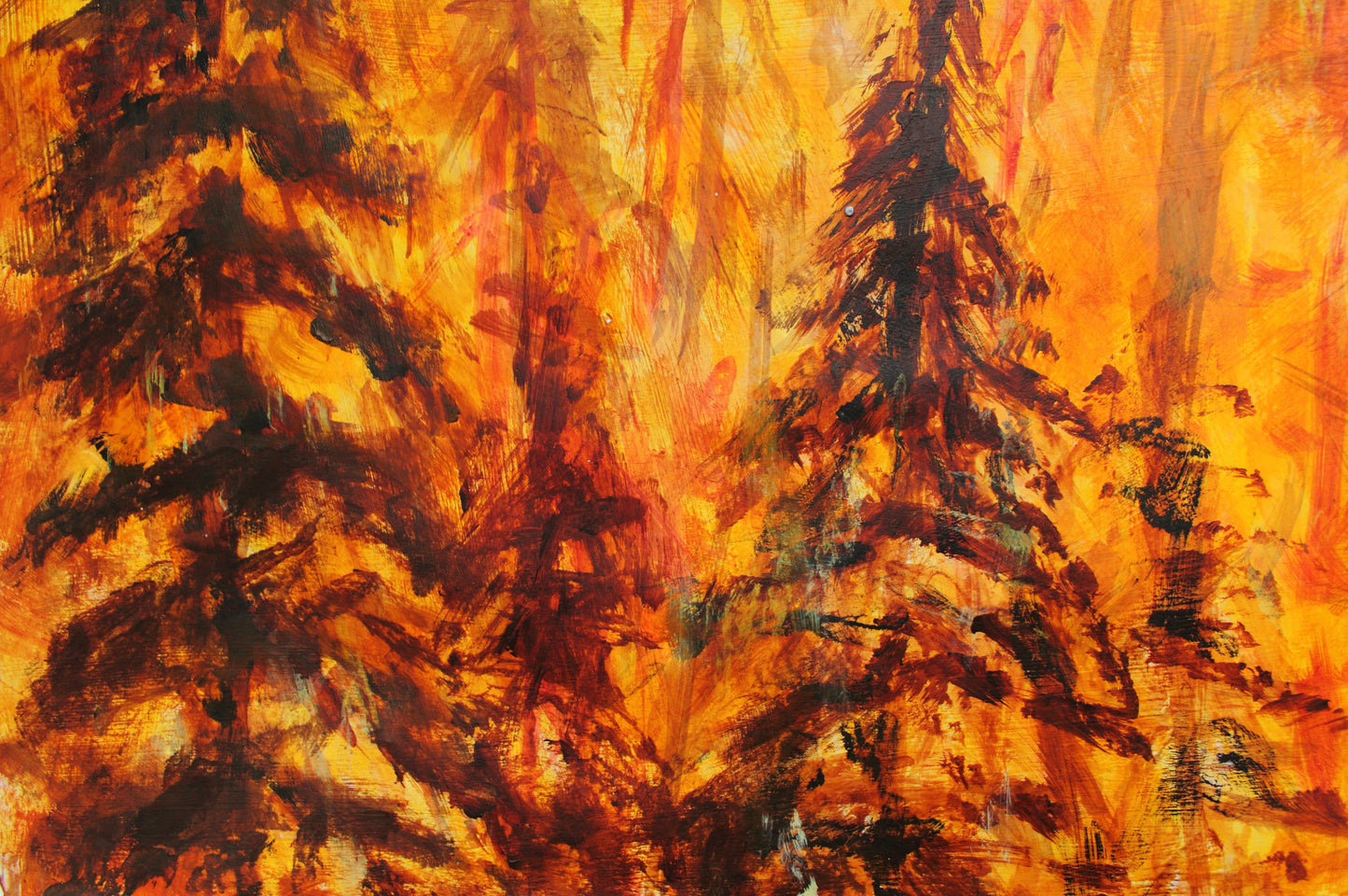 Burning Forest, 2010