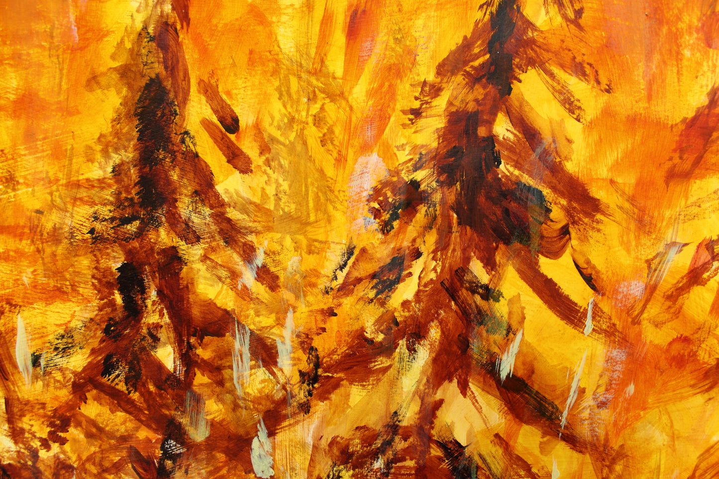 Burning Forest, 2010