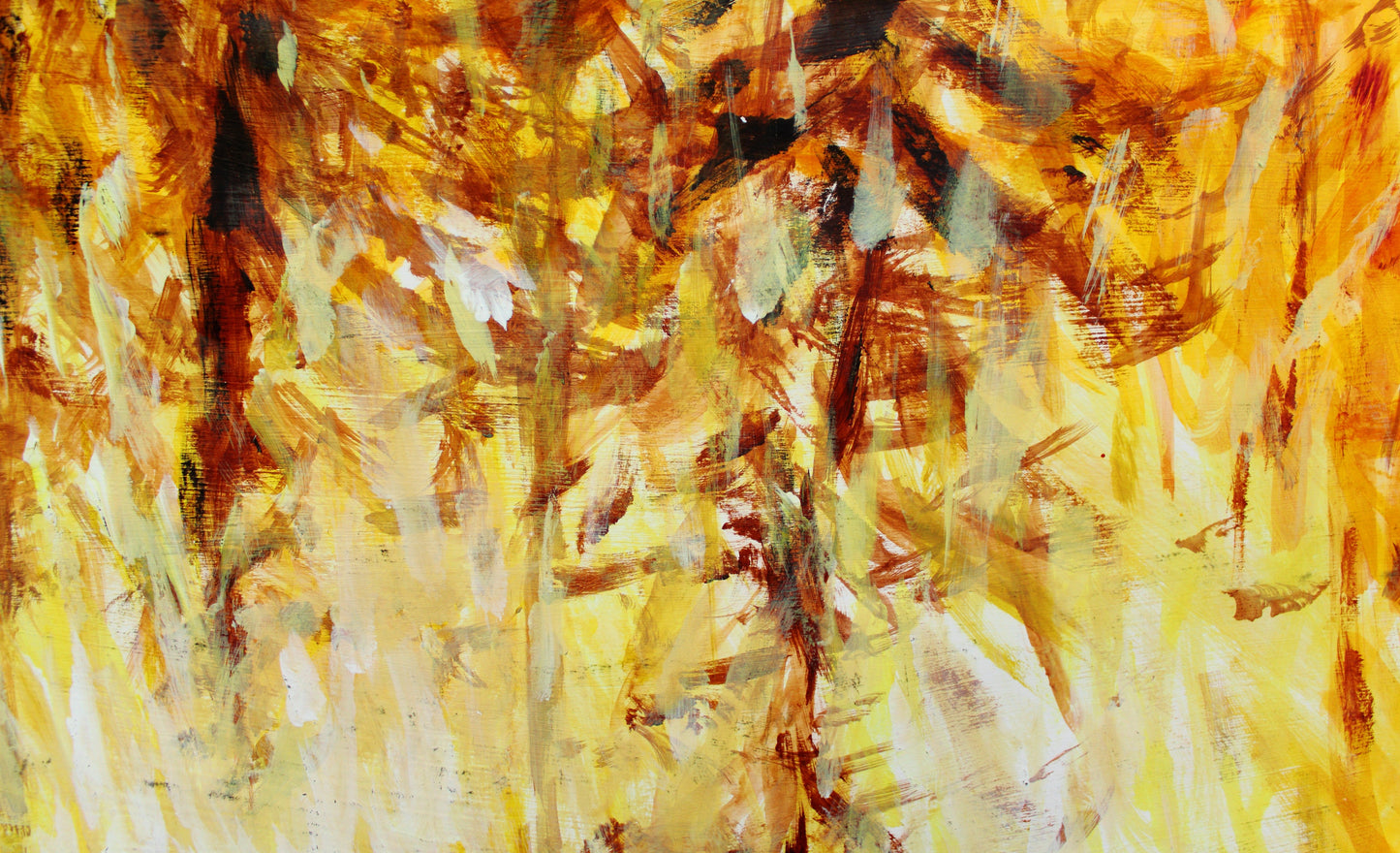 Burning Forest, 2010