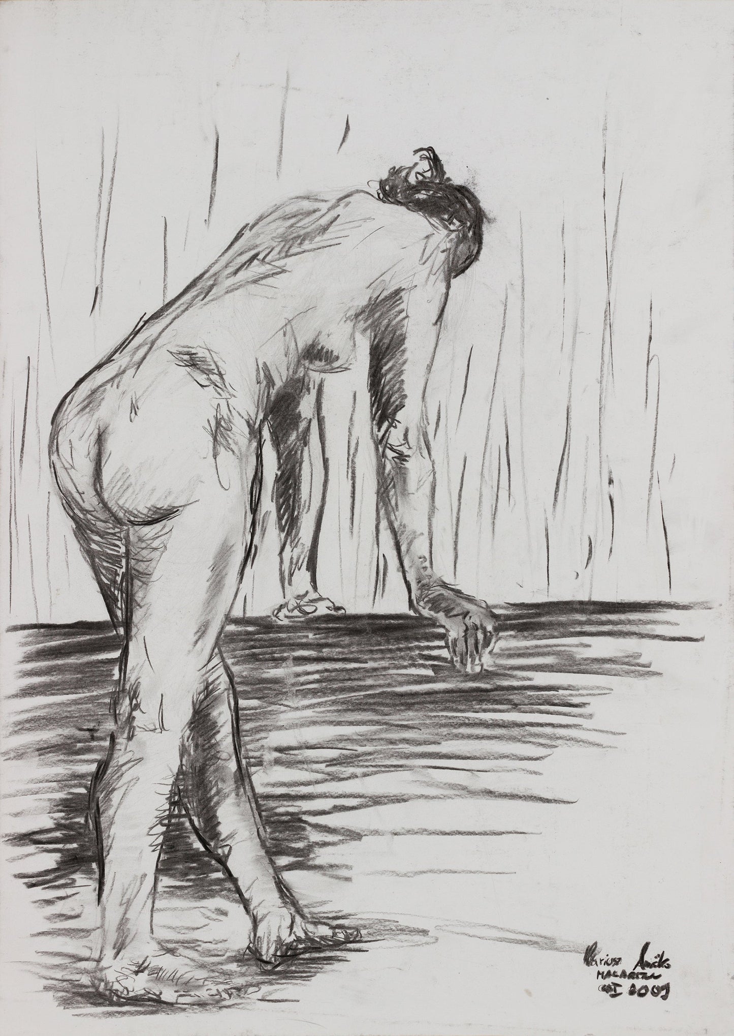 Human Study 17, 2009