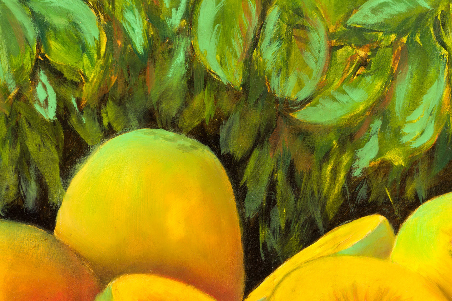 Kiwis, 2014