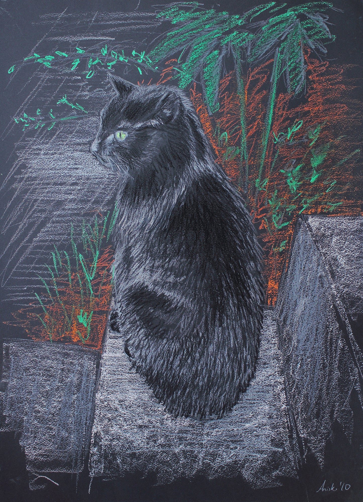 Black Cat, 2010