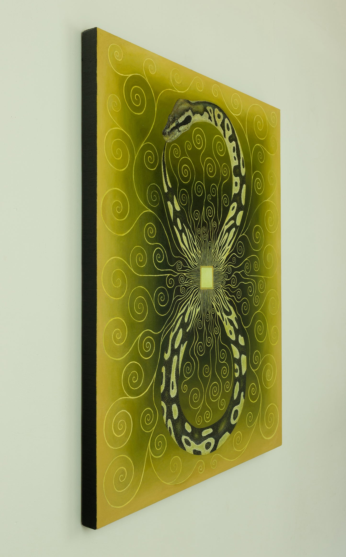 Year of The Snake