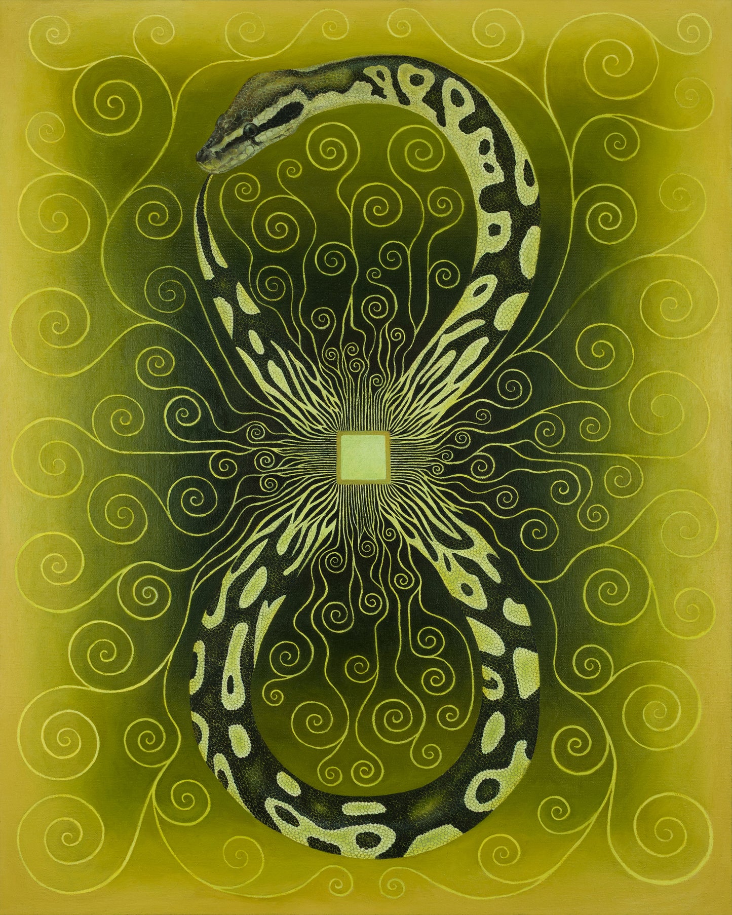 Year of The Snake