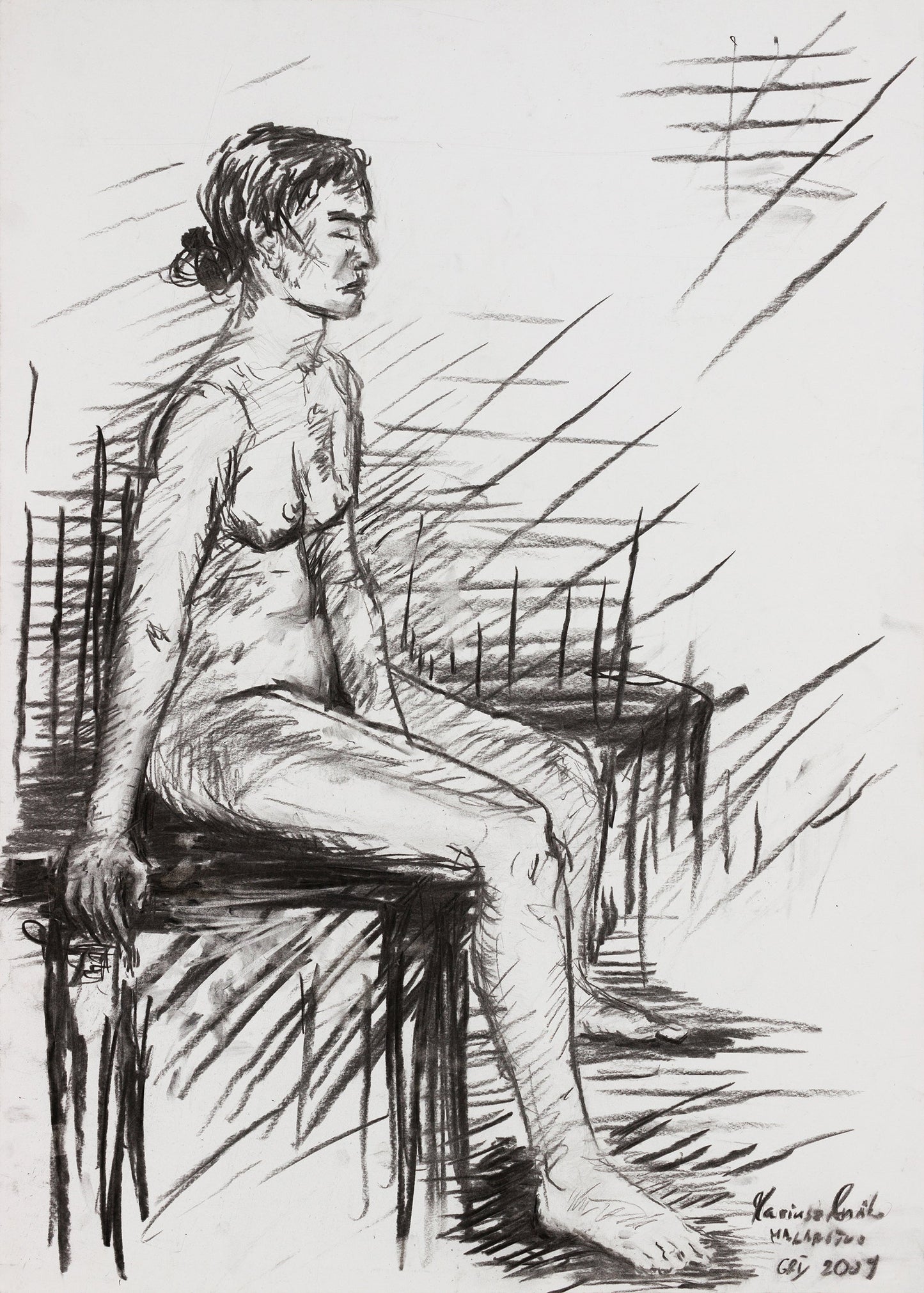 Human Study 16, 2009